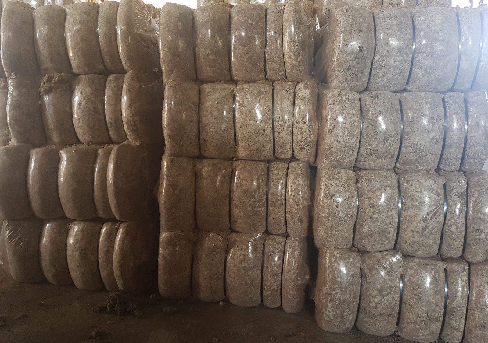 Raw wool baled and prepared for trading